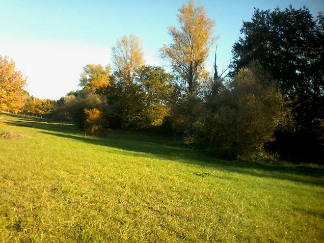 south field